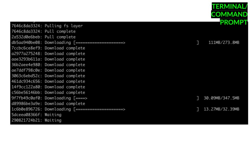 When pulling the image you should see some progress bars and Download complete messages from your command line. 