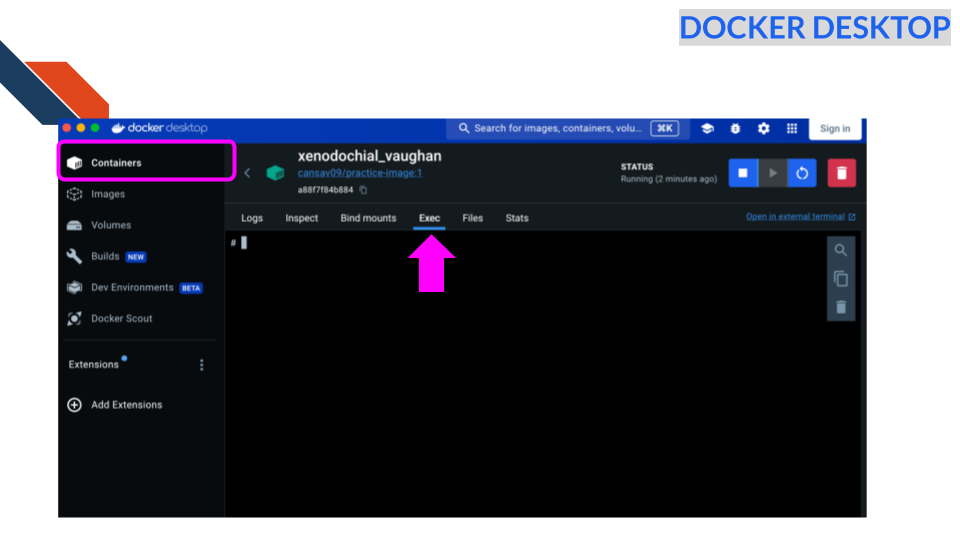 Running and IDEs from a Docker container is a great option. here we are showing examples of how RStudio or Jupyter can be run from a container using a browser and a container